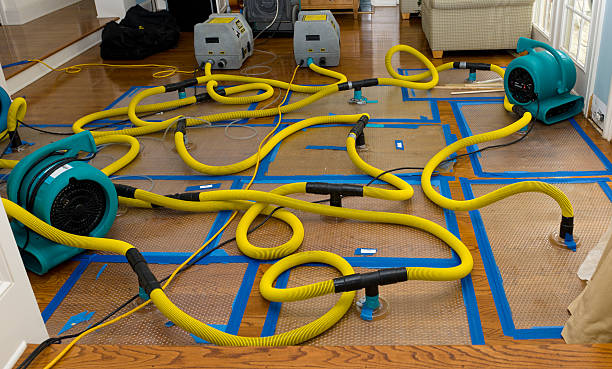 Professional Structural Drying And Dehumidification technician working in Lane, KS
