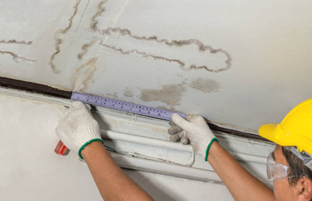 Affordable Structural Drying And Dehumidification solutions in Lane, KS